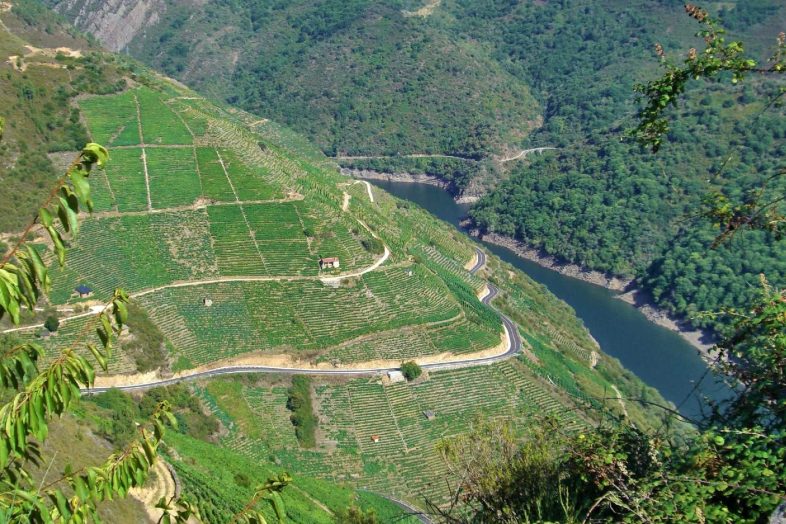 Las 20 mejores actividades para realizar en la Ribeira Sacra