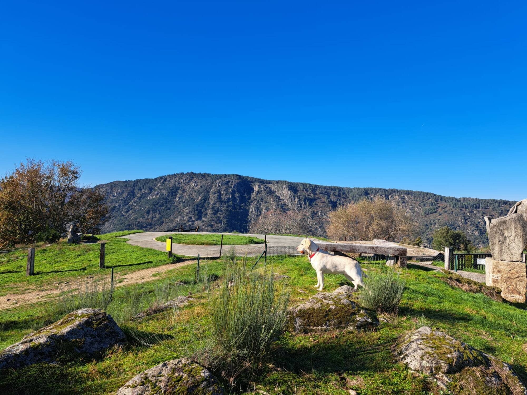 Imagen de Camping Cañón do Sil