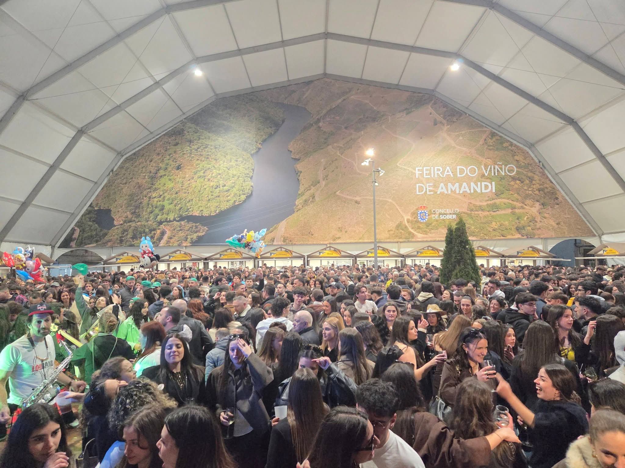 Imagen de Feira do Viño de Amandi Sober