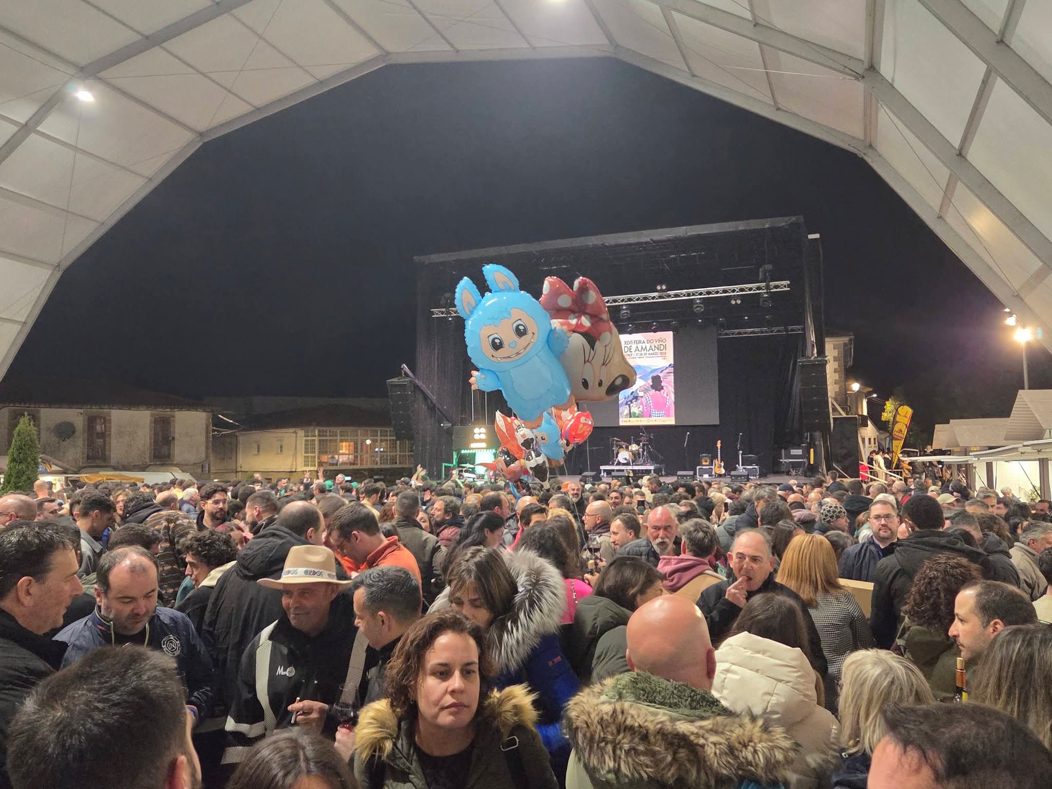 Imagen de Feira do Viño de Amandi Sober