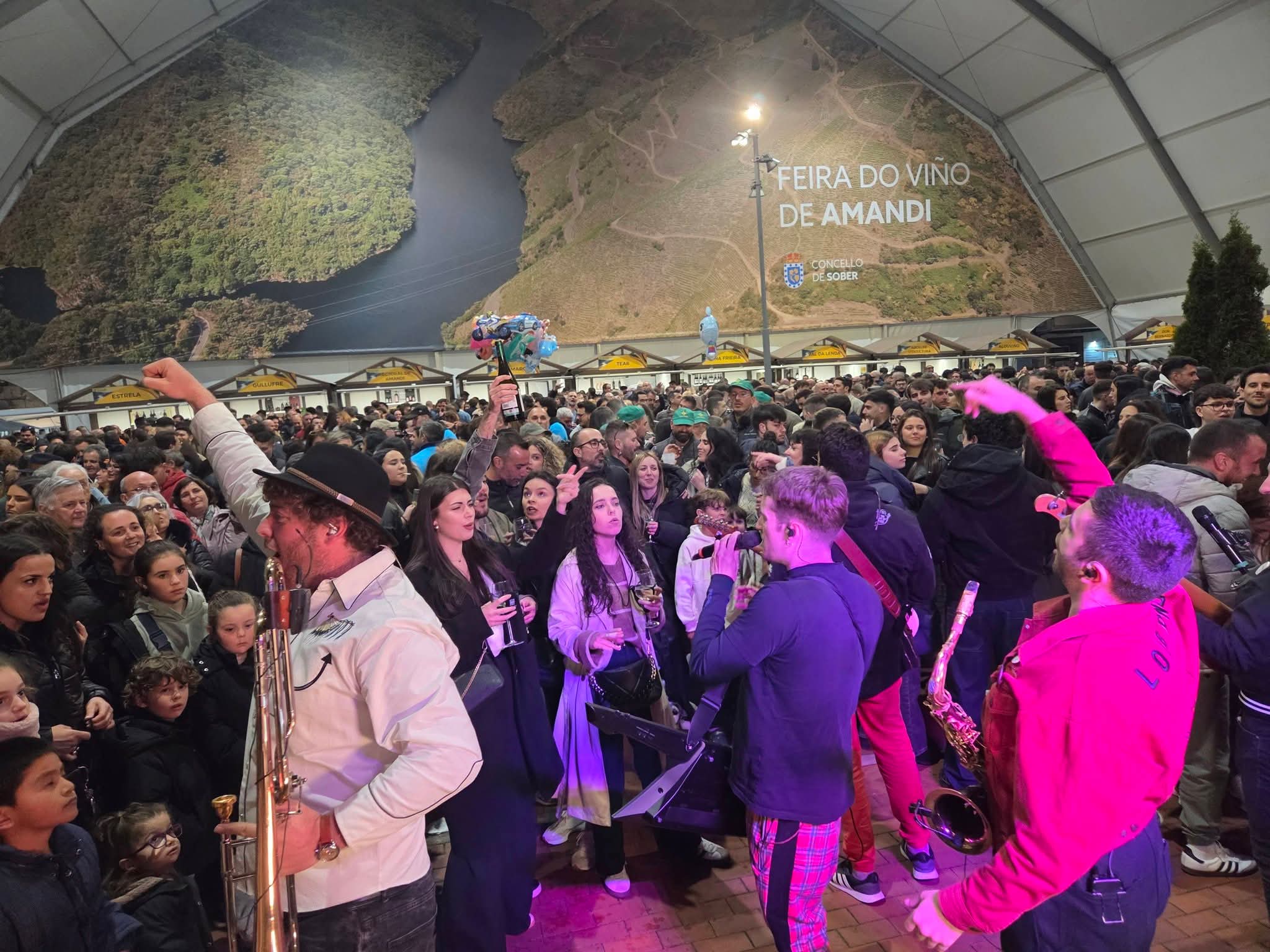 Imagen de Feira do Viño de Amandi Sober