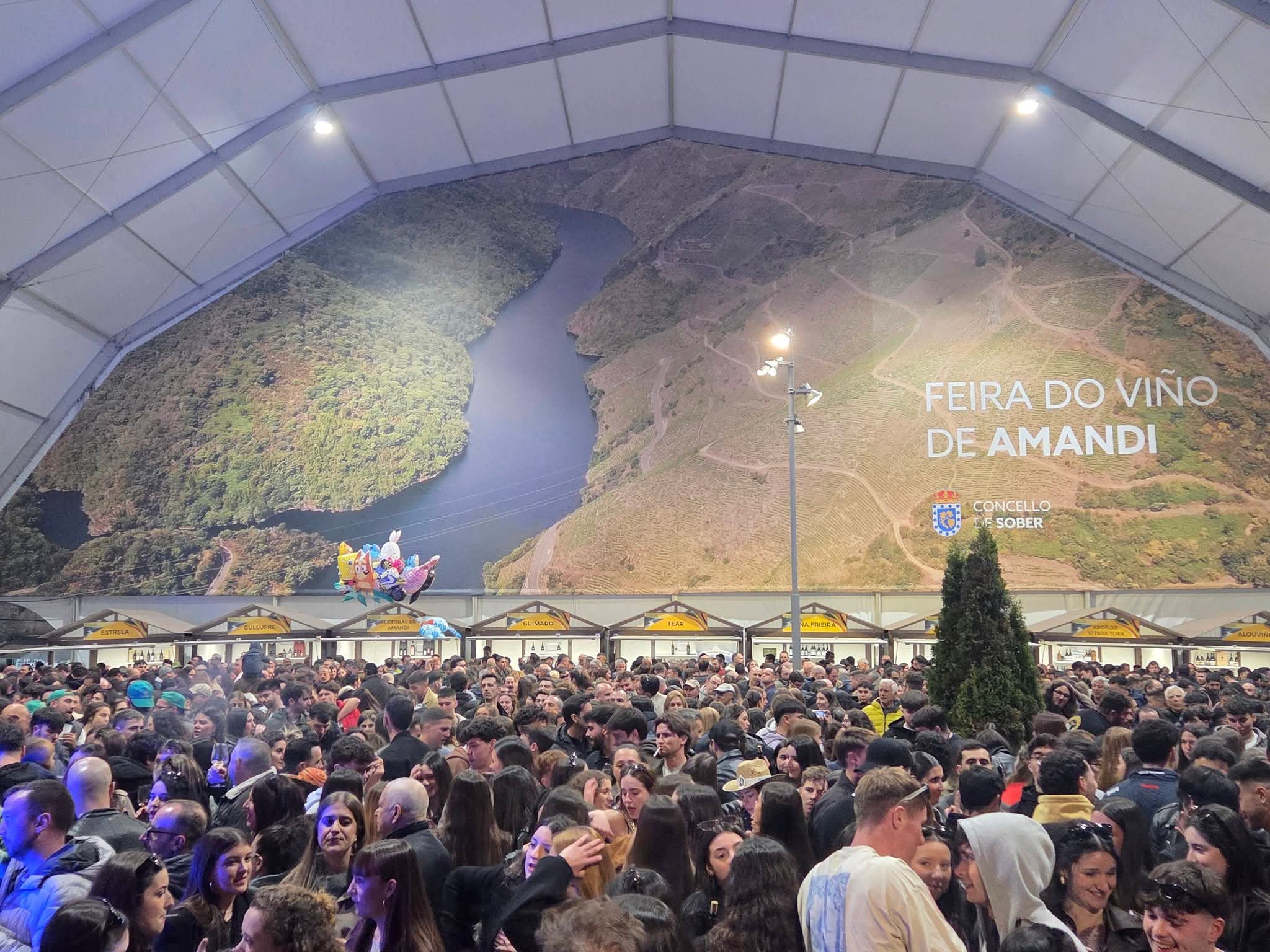 Imagen de Feira do Viño de Amandi Sober