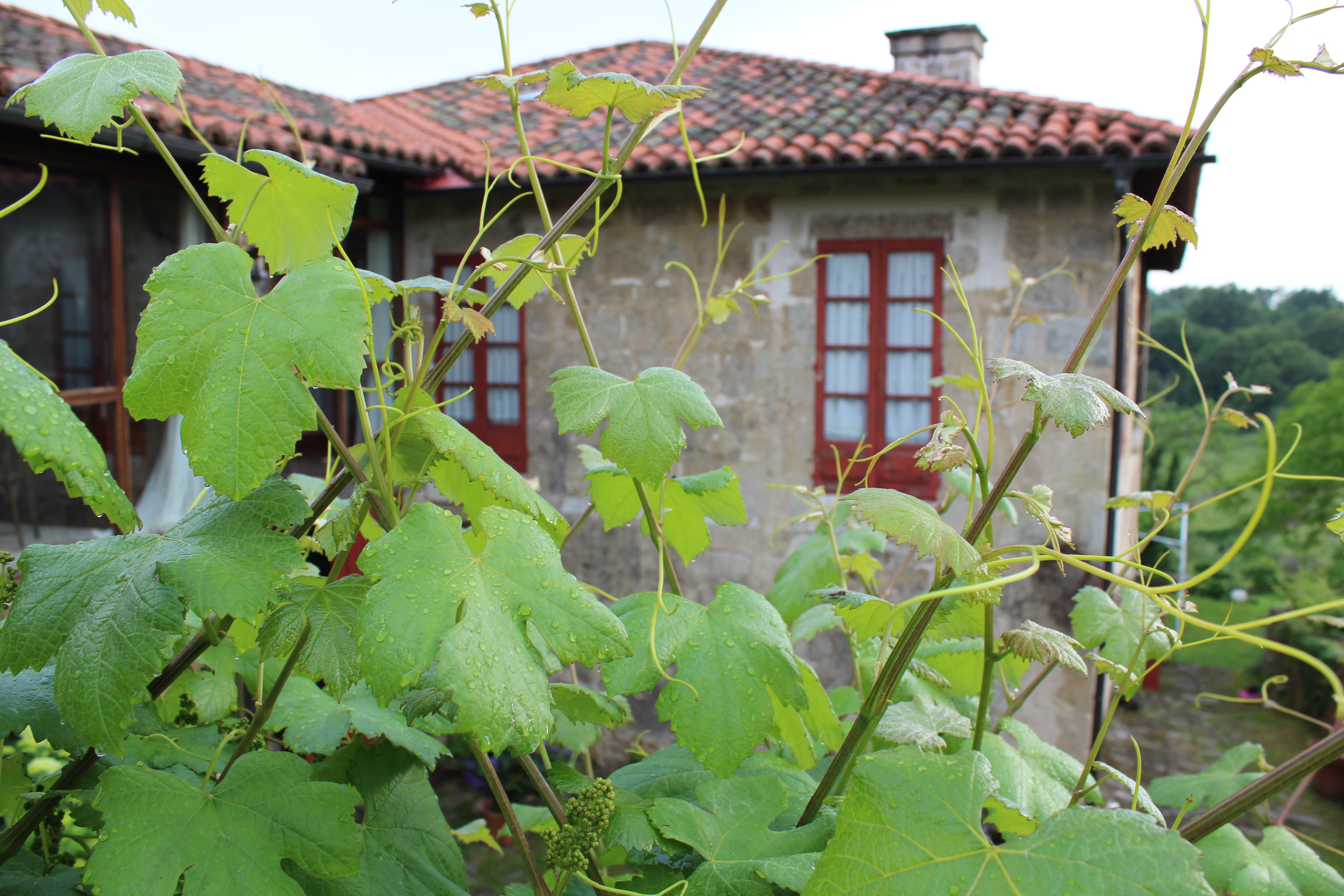 Imagen de Rectoral de Anllo 